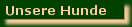 Geh zu unsere Hunde